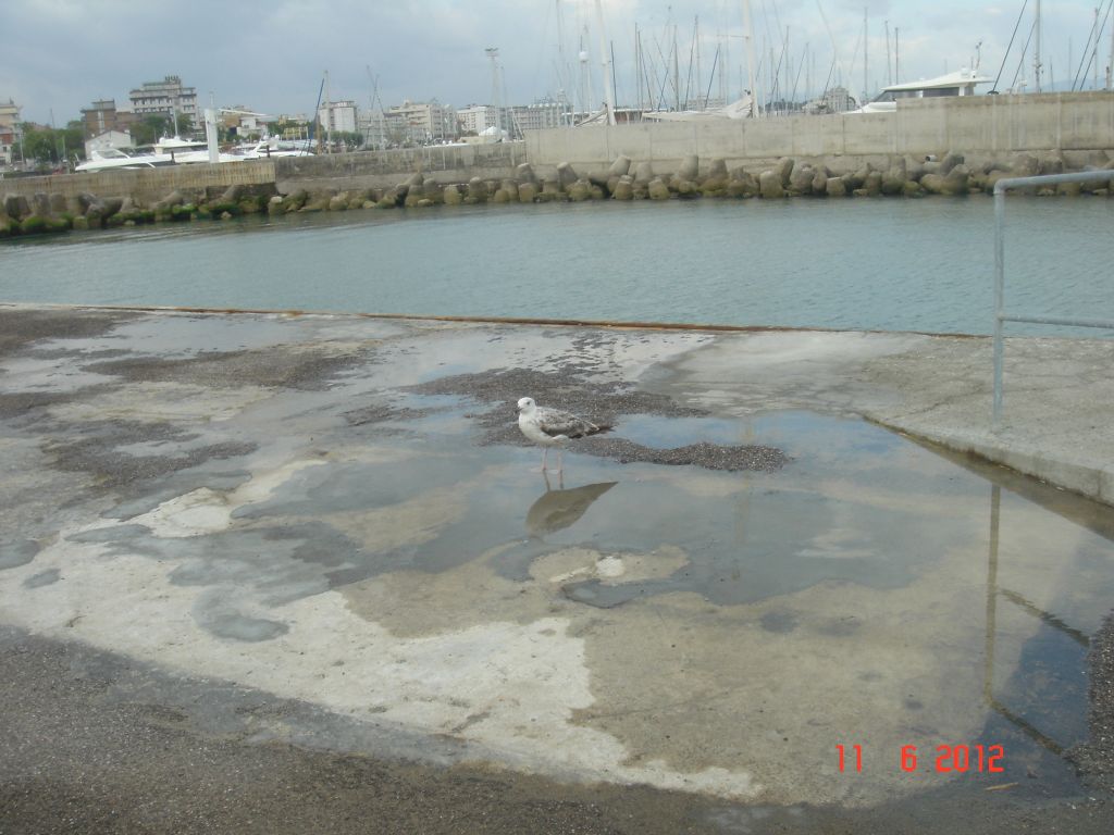 Gabicce Mare 2012 344